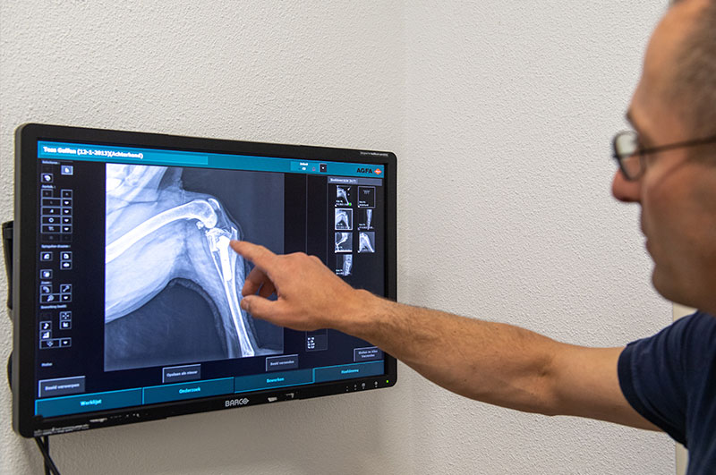 Groepspraktijk Dierenartsen Orthopedie