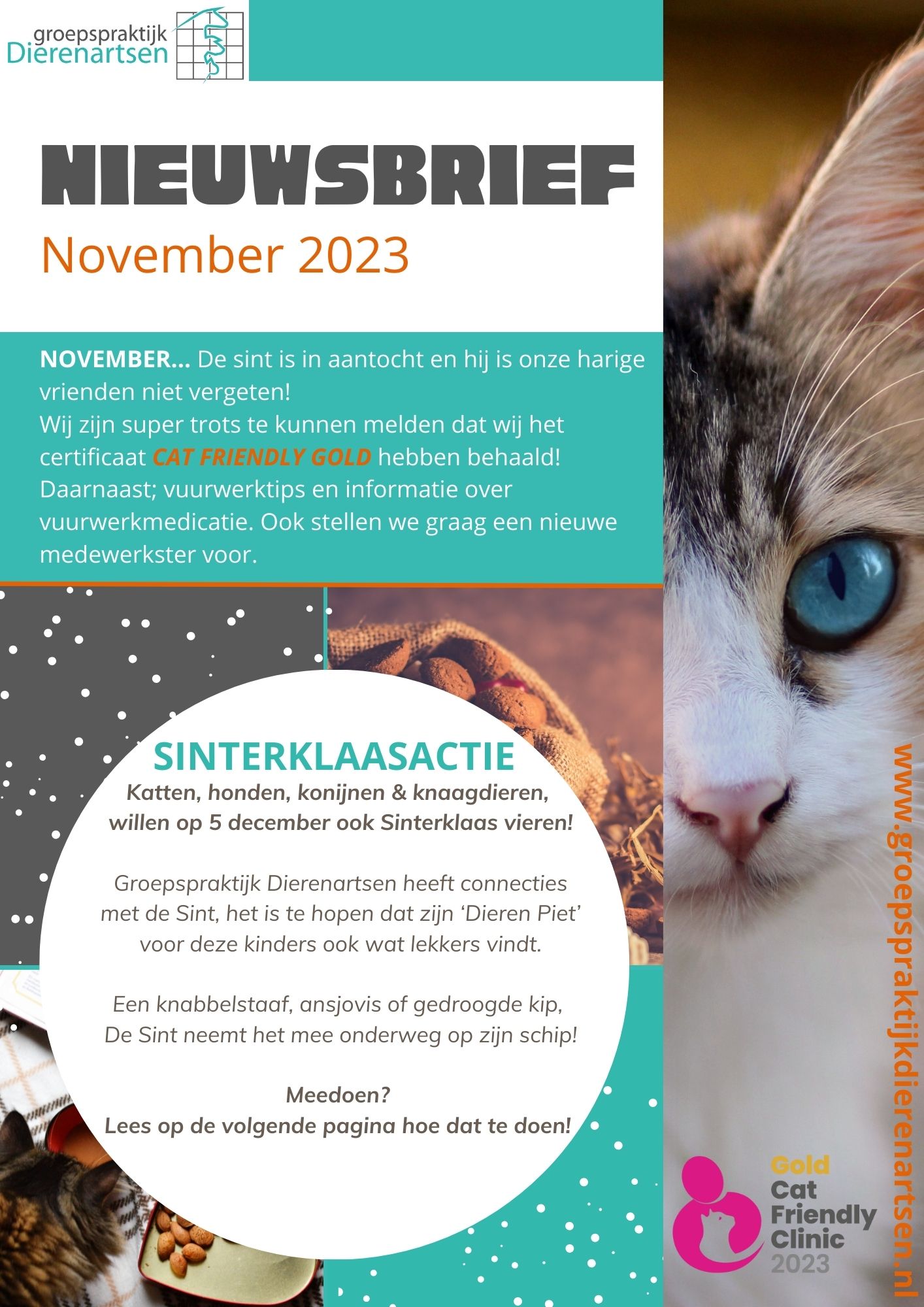 nieuwsbrief november cat friendly hond kat