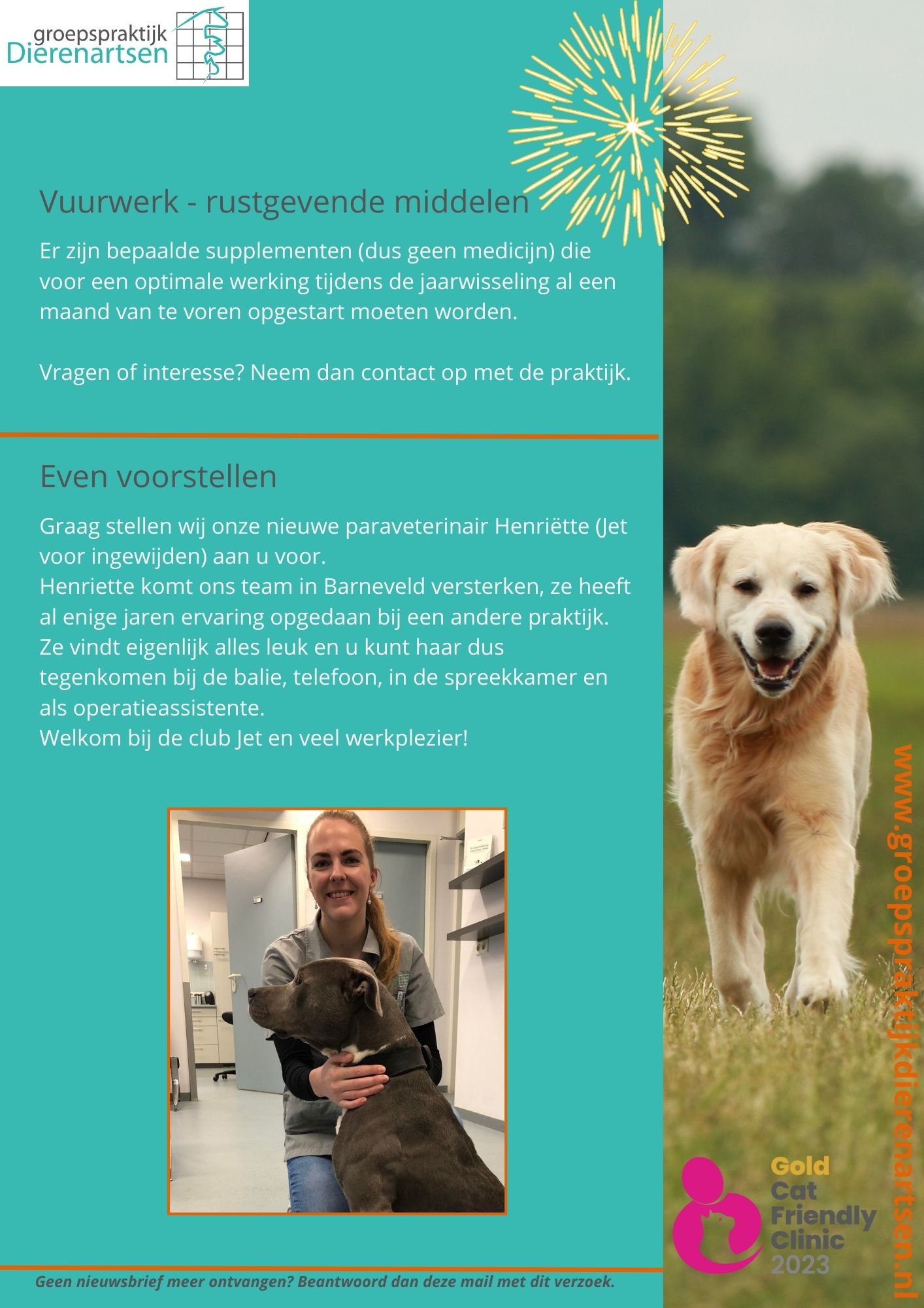 nieuwsbrief november cat friendly hond kat