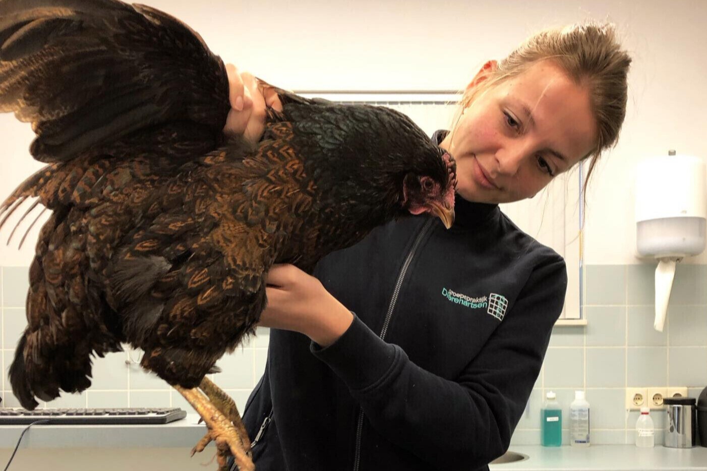 kip dierenarts barneveld harskamp kootwijkerbroek