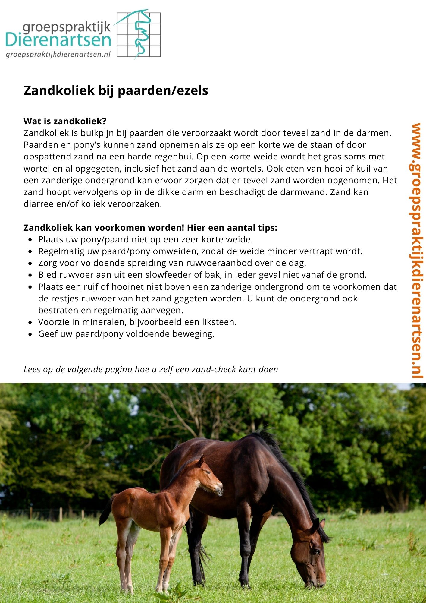 nieuws hond kat barneveld dierenarts harskamp poes kater