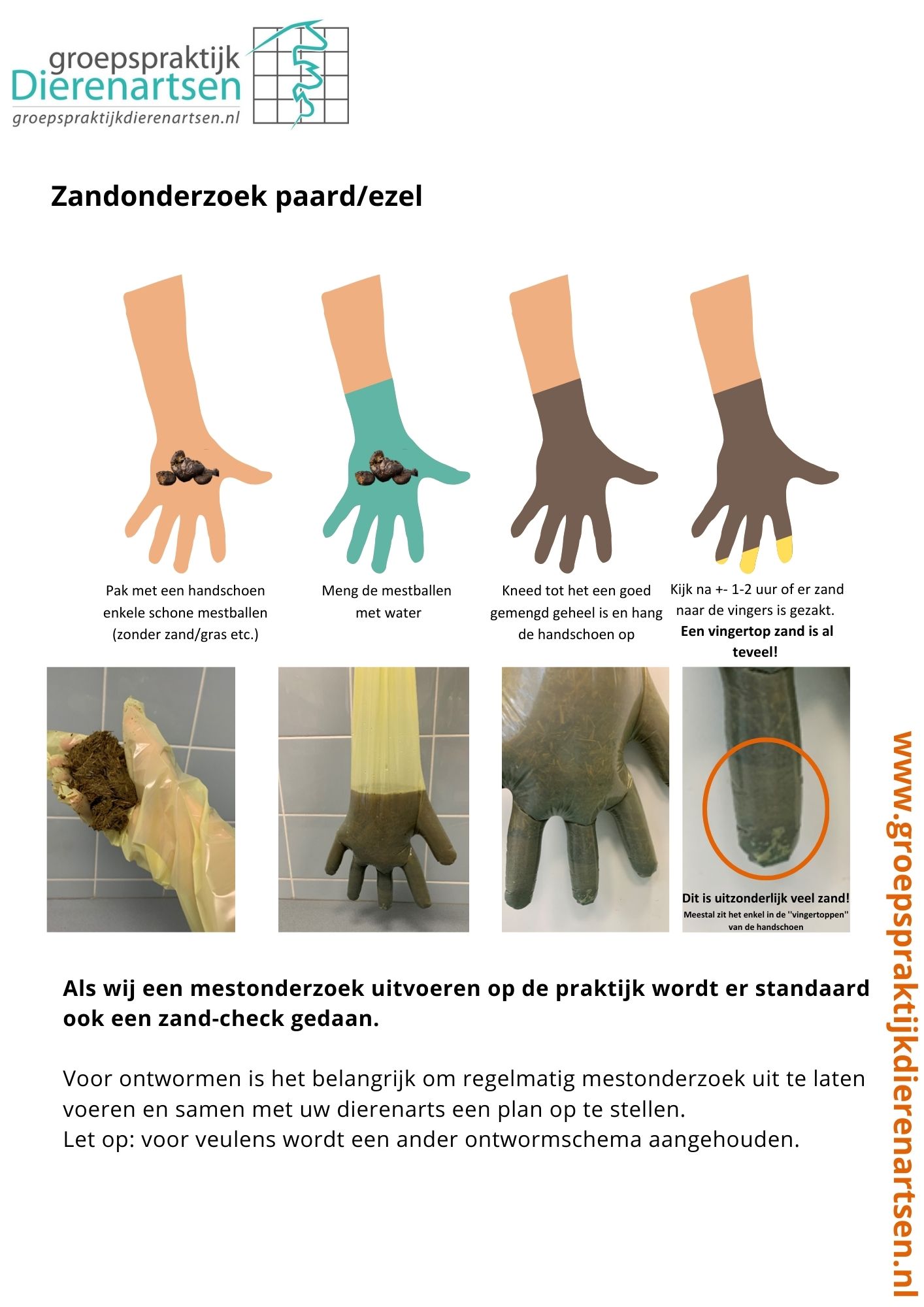 nieuws hond kat barneveld dierenarts harskamp poes kater