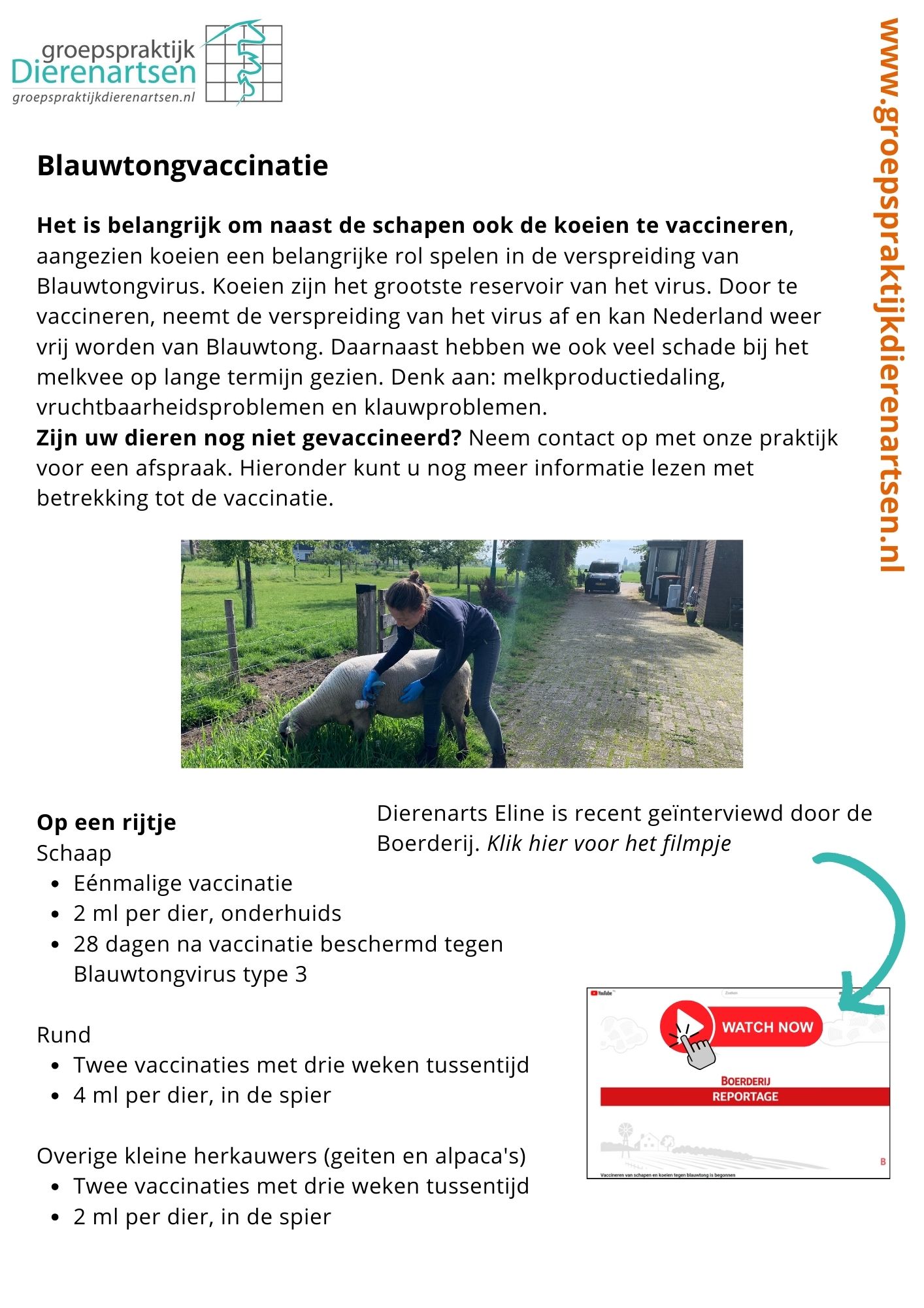 nieuws hond kat barneveld dierenarts harskamp poes kater
