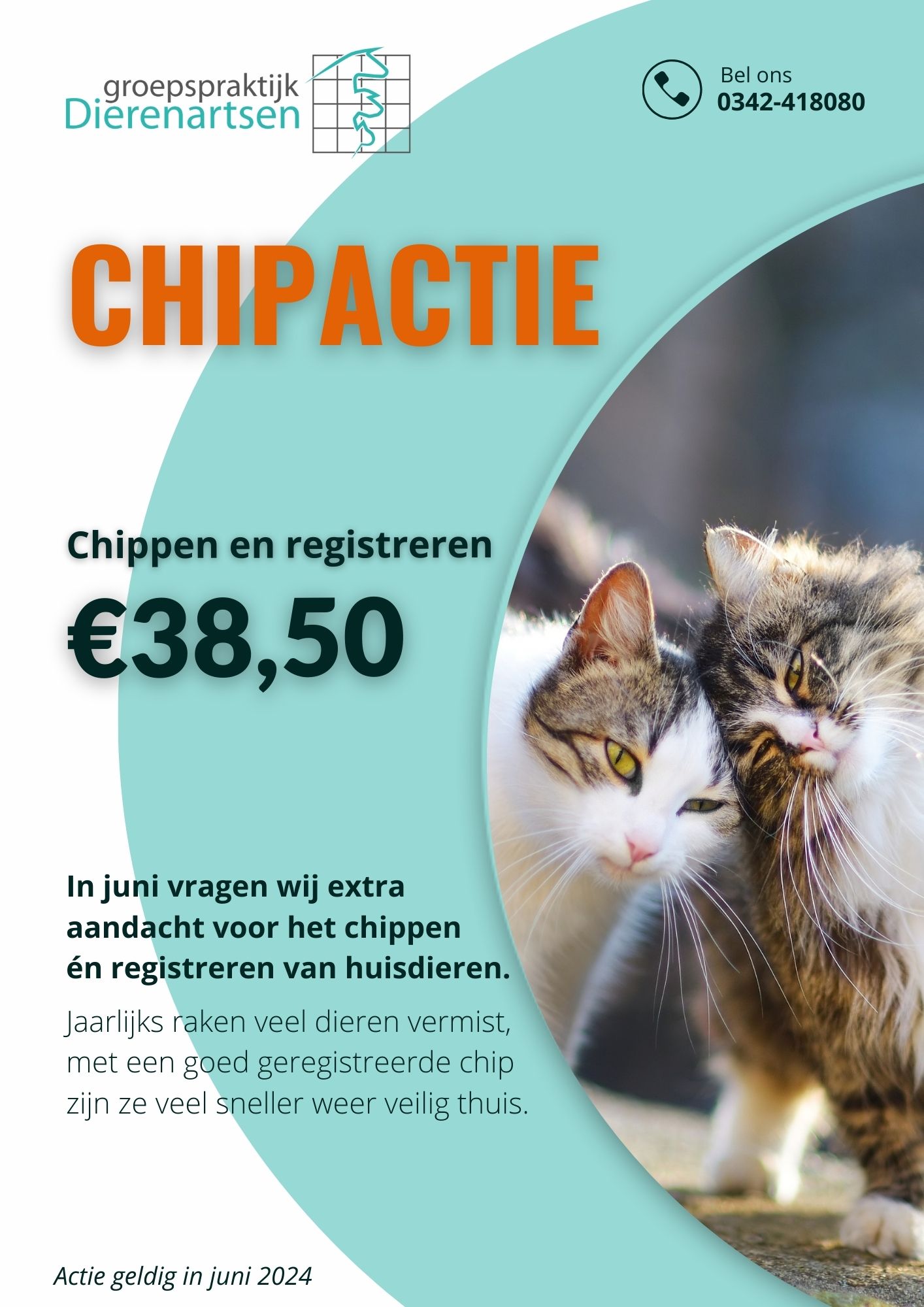nieuws hond kat barneveld dierenarts harskamp poes kater