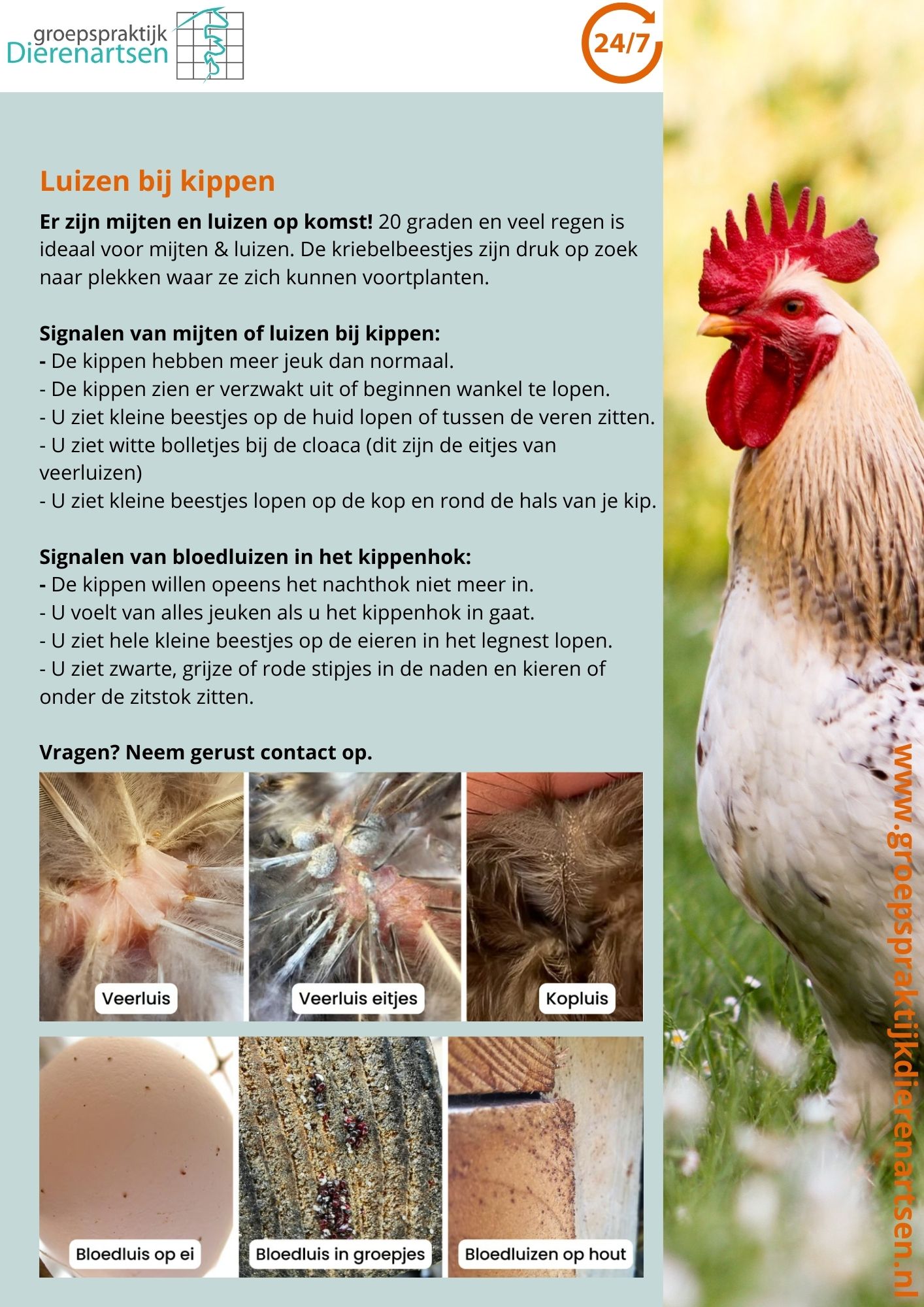 nieuws hond kat barneveld dierenarts harskamp poes kater
