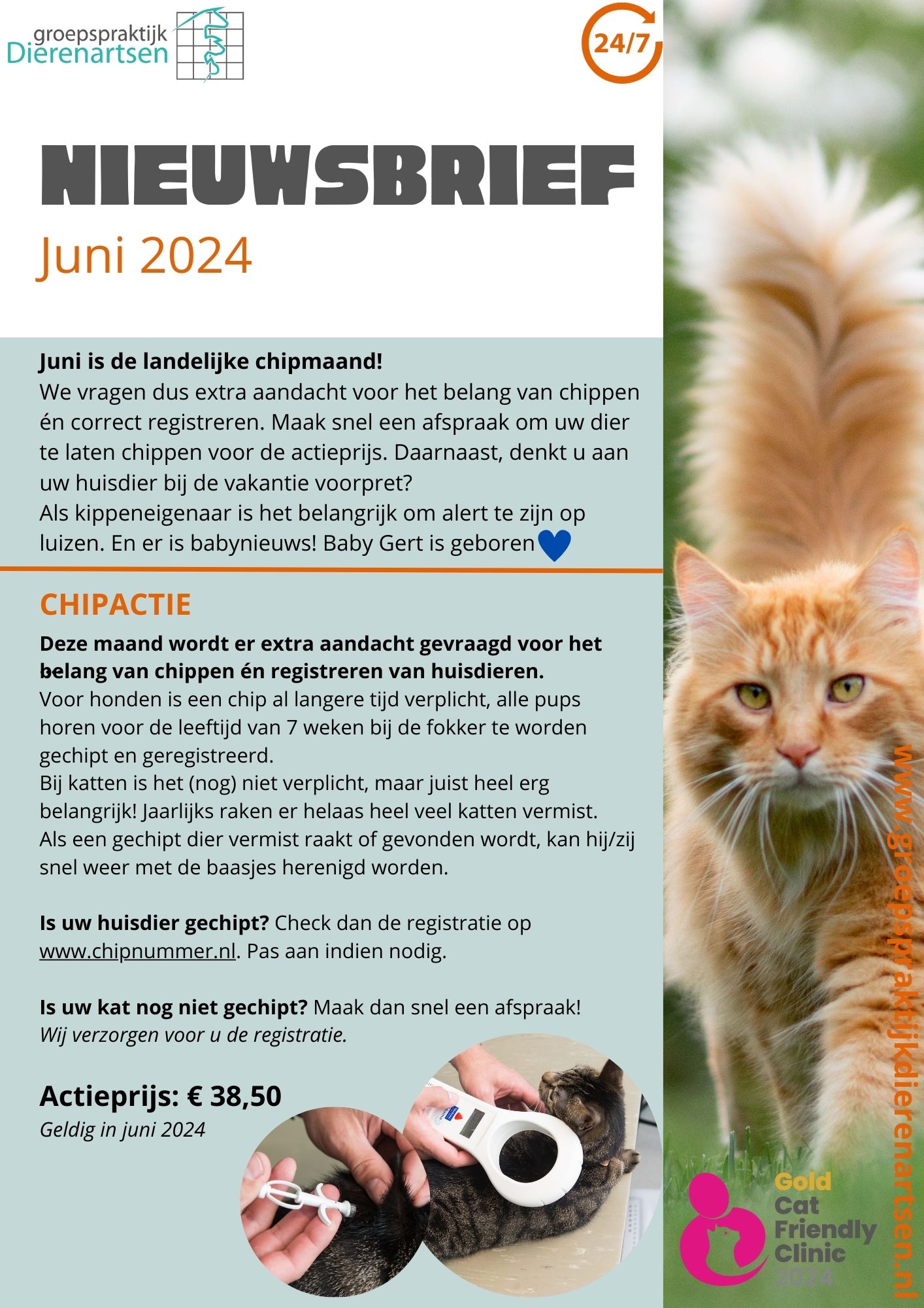 nieuws hond kat barneveld dierenarts harskamp poes kater