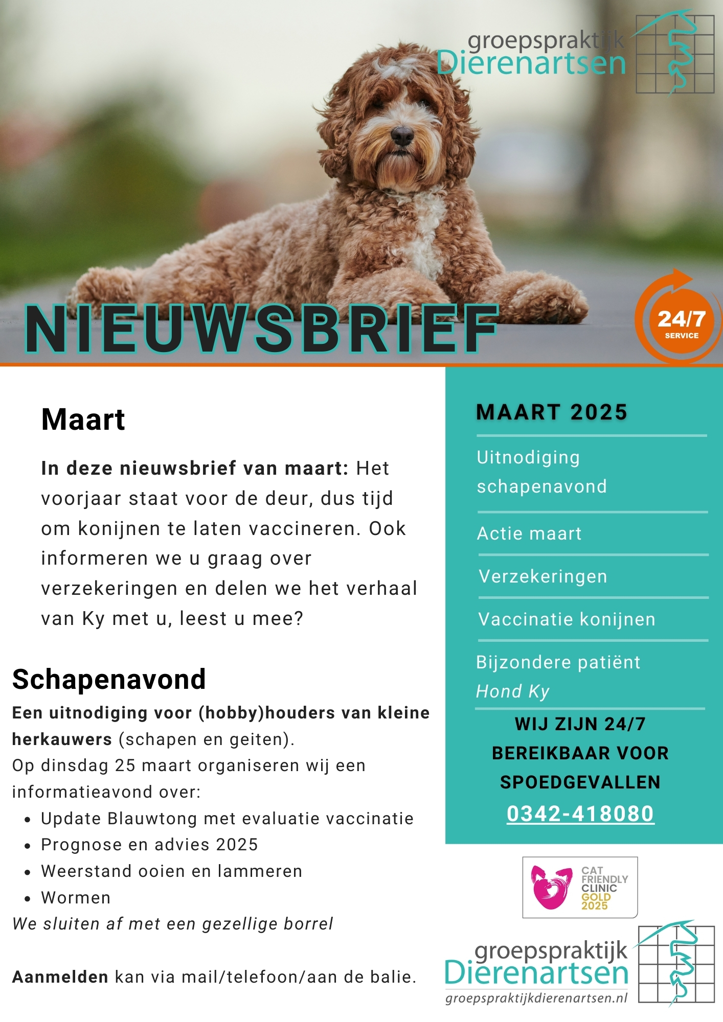 nieuws hond kat barneveld dierenarts harskamp poes kater