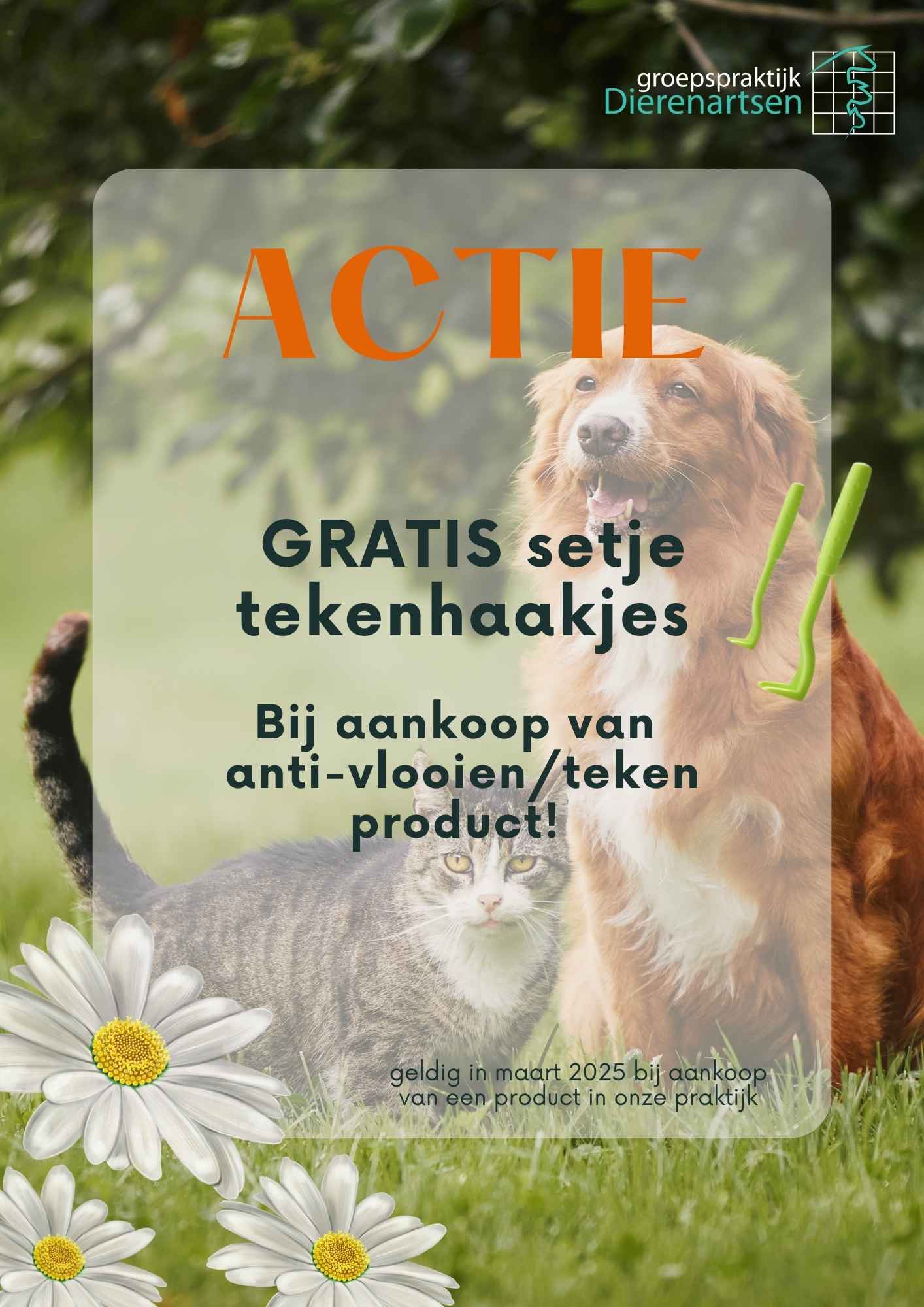 nieuws hond kat barneveld dierenarts harskamp poes kater