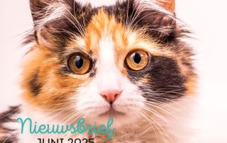 nieuwsbrief juni